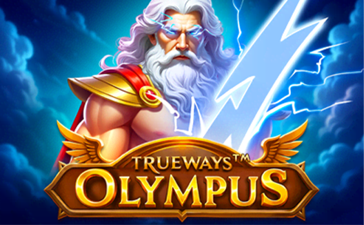 Olympus TRUEWAYS