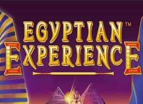 Egyptian Experience
