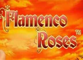 Flamenco Roses