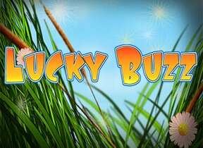 Lucky Buzz