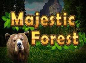 Majestic Forest